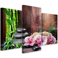 Trijų dalių paveikslų spausdinimas ant drobės Orchid Flowers Spa Nature 60x40 ruda