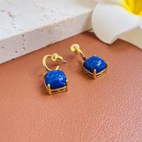 Small and Luxurious Retro Style Blue Antique Style Earrings for Women's New Gilded High-end Silver Needle Earrings brown