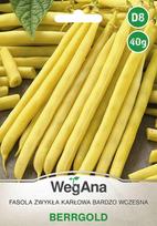 Berrgold Karłowa ankstyvosios pupelės 40g pupelių sėklos - WegAna