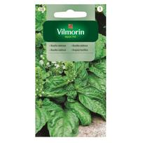 Salotos bazilikas 1g - VILMORIN