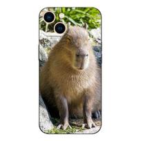 Black tpu Case For Samsung galaxy A3 A5 A7 2016 2017 2018 cover Capybara Samsung A3 2016