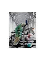 Prabangus gyvūnų pasaulis 5DDIY Deimantinis paveikslas Povas Zebra Dramblys Flamingas Nuotykių Tapyba sienoms Namų Svetainės apdaila Full Round 20x30CM gray