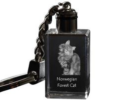 Norvegijos miškas - Kristalinis pakabukas su katės nuotrauka, apšviečiamas pakabukas, unikalus dovanų rinkinys nuo Art-Dog prekės ženklo skaidri