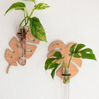 2pcs Wooden Leaf Plant Terrarium Plant Propagation Station Wall Hanging for Hydroponics Home Office Decor Test Tube Propagate Air Plant Cutting Holder ruda