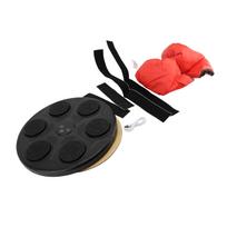 Music Boxing Machine Quiet 9 Modes BT RGB Light Counting Speed Adjustable Boxing Wall Target for