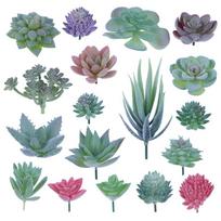 Set0819 Simulation Flower Succulent Plant Set Mixed With Home Shopping Mall Decoration Shooting Props