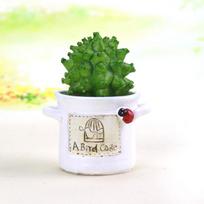 Succulent Potted Plants Bonsai Micro Landscape Fashion Home Creative Desktop Resin Decoration balta