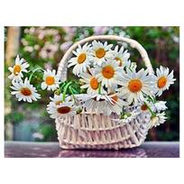 Deimantų tapyba Gėlės Kalnų krištolinio akmens mozaikos siuvinėjimas Daisy Gėlės Kryžminio dygsnio mozaikos deimantų namų dekoravimas Full Round 20x30CM gray