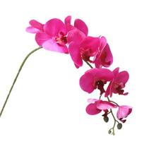 Ekologiška dirbtinė gėlė Realistiškas puikus dekoratyvinis modeliavimas Phalaenopsis