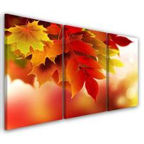 Trijų dalių paveikslo drobės spaudas Rudens lapai Gamta 60x40 oranžinė