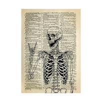 Žmogaus anatomijos sienų menas Skeletas Anatominė kaukolė Drobės tapyba Ligoninė Vintažiniai plakatai ir spaudiniai Gydytojo kabineto dekoravimas 20x30cm beige