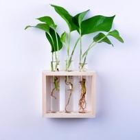 Hanging Flower Vase Bottle in Wood Stand Terrarium Home Party Wedding Decor green