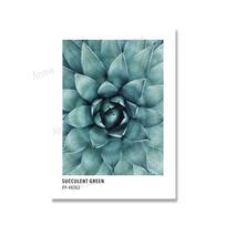 Color Card Inspired Art Posters and Prints Succulent Green Canvas Painting Icy Winter Blue Wall Pictures for Living Room 21x30cm No Framed