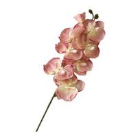 Dirbtinės kandžių orchidėjos Realistiškos netikros šilko gėlės Vestuvių vakarėlis Namų biuro stalo centrinė dalis dirbtinė rožinė