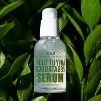 Dermafactory Houttuynia Cordata 89% Serumas 50ml 1 PCS