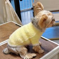 Pet Plush Solid Color Sweater Pet Little Dog Clothing Autumn Winter Dog Base Coat Puppy Clothes Dog Clothes for Small Dogs XS white