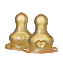 Bibs kūdikio buteliuko žindukai 2vnt. - Fast Flow