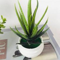 Mini Potted Plant Simulation Aloe Simulation Potted Plant Artificial Plastic Display Mold Bonsai for Home Decor Aloe
