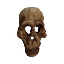 Aquarium Decoration Landscaping Head Bone Cave Aquatic Ornament Artificial Decorative Fishtank Reptile Box Prop Reusable