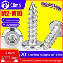 Stainless Steel Self-Tapping Flat Head Hex Screws (Chamfered) M5-M10 M2*12