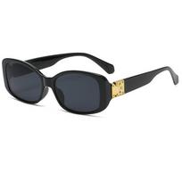 Personalized Sunglasses Vintage Hip Hop Oval Sunglasses Tide Sunglasses