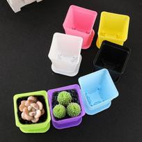 Namų Biuro Sodo Dekoravimas Daigų Vazonas Maži Vazonai 5VNT/7VNT Plastikiniai Kvadratiniai Gėlių Vazonai Padėklas 5pcs