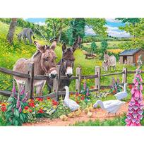 Deimantų siuvinėjimo tapyba Asilų ir ančių kryžminio dygsnio deimantų paveikslas Kalnų krištolas namų dekoras 20X30CM black