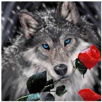 Visas 5D „pasidaryk pats“ deimantinis paveikslas „Diaohua wolf“ deimantinis siuvinėjimas kryžminio dygsnio rinkiniai namų dekoras, rankų darbo dovanos Round 25x25cm gray
