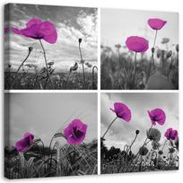 Canvas print, Purple poppies 30x30 violetinė