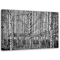 Spaudinys ant drobės Beržų miškas 60x40 balta/juoda