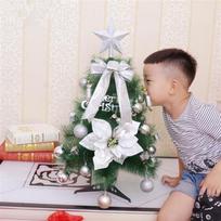 60CM Tabletop Floor Artificial Christmas Tree Xmas Trees With Silver Ornaments Gifts Festival Supplies for Home