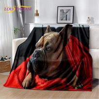 Animacinis prancūzų pitbulio šuo augintinis minkštas pliušinis pledas, flanelinis pledas metamas pledas svetainei miegamojo lovai sofai piknikui danga 30x40in gray
