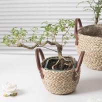 Woven Planter Basket Flower Pot Organizer Decorative Storage Basket, Plant Holder for S beige