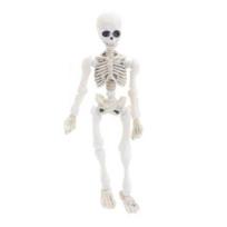 Helovino skeletas, figūrėlė, judantys sąnariai, žmogaus modelis, derva, skeletas, statula, skulptūra, namų biuras, darbalaukio dekoravimas