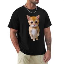 Funny Cat 3D Print Women Casual T-Shirt Women Men Summer Harajuku T Shirts Girl Boy Casual Fashion Clothes S smėlis