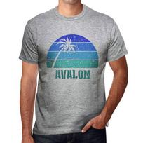 Men’s Vintage Tee Shirt Graphic T Shirt Avalon Sunset Grey Marl XS viržių pilka spalva