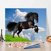 „Pasidaryk pats“ tapyba pagal numerius Namų dekoravimo skaičiai Aliejinė tapyba Rankomis tapyta drobė Skaitmeninė aliejinė tapyba 40x50cm no frame black