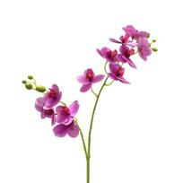 „Medoc“ dirbtinės orchidėjų 3D spausdinimo darbalaukio ornamentai, plastikiniai prie lovos imituojantys svetainės modeliai biurui 1
