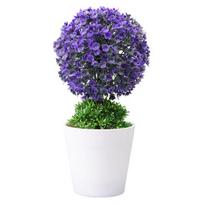 Plastikinis imitacinis bonsai energingas mados dirbtinis mini medžio vazonas
