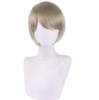 30CM Danganronpa V3 Tojo Kirumi Women Short Wig Cosplay Costume Dangan Ronpa Heat Resistant Synthetic Hair Carnival Party Wigs 30CM sidabras