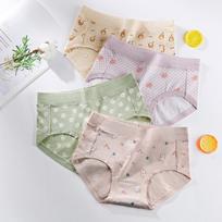 Supakuotas 4 vnt. kvėpuojantis medvilninis apatinis trikotažas moterims, apatinis trikotažas moterims su raštu juosmens srityje, paprastos, bet mielos kelnaitės L beige