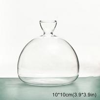 Transparent Glass Vase Terrarium Hydroponic Flower Vase Fish Tank Aquarium Container Planter Pots Bottle Home Decoration Craft white