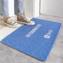 Alipay Entrance Wire Circle Floor Mat 40*60cm