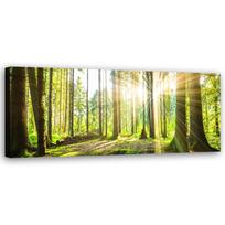 Canvas print, Sun rays in the forest 90x30 žalia