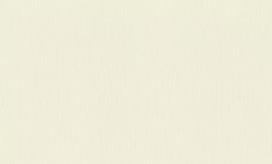 Tapetai Rasch Selection doppeltbreit, Wall Textures XL Vol. 3, Wall Textures XL Vol. 4 968514, viniliniai, balta sp.