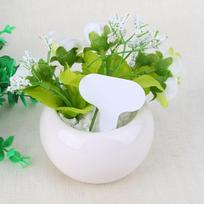 100 vnt. Sodo etiketės Plastikinės Augalų T formos Etiketės Žymekliai Medelyno Sodo Etiketės Papuošalai Garder De green