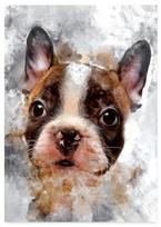Plakat buldog pies abstrakcja 21x29,7 cm A4