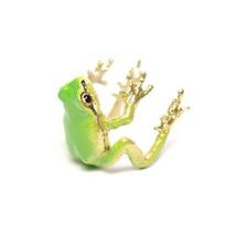 Fashionable Tree Frog Rings Adjustable Open Rings High Polish Alloy Jewelry for Men and Women Stylish Party Ornament žalia
