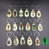 1PC New Resin Insect Keychain Luminous Scorpion Insect Specimen Pendant Random Color Cute Keychain