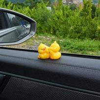 1 pora Mielas Veidas Draugiškas Gyvūnas Ornamentas Automobilio Centrinės Konsolės Ekranas Galinio Vaizdo Veidrodėlis Juokinga Dekoracija Automobilio Aksesuarai Interjeras green